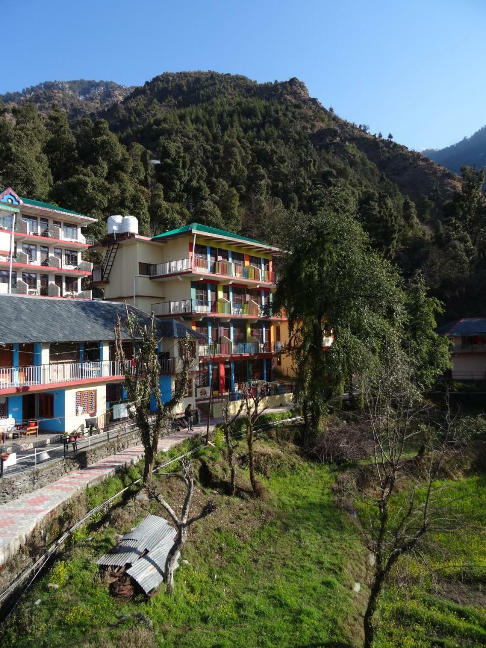 La Vaca India McLeodganj Hostel McLeod Ganj Bagian luar foto